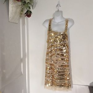 Gold Sequence Evening Dress (wild cat)